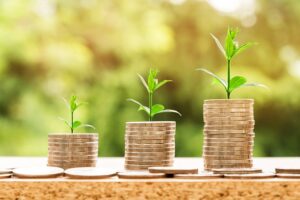Des pièces de monnaie avec des plantes représentant la croissance financière.